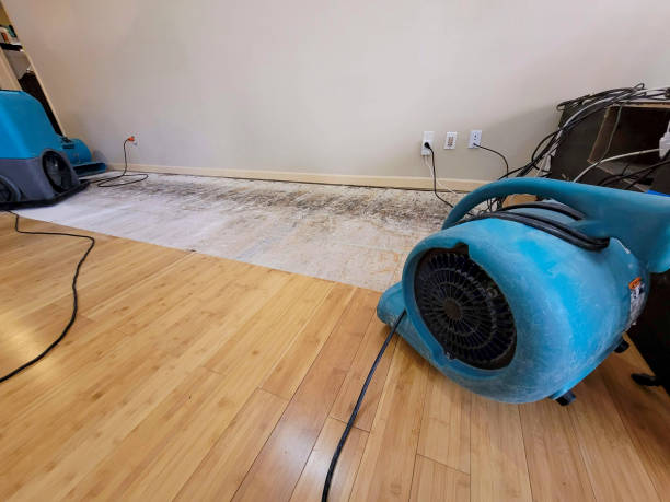 Professional Basement Flood Cleanup technician working in Chatsworth, GA